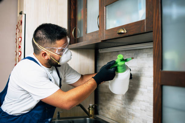 Best Affordable Pest Control Services  in Edgeworth, PA