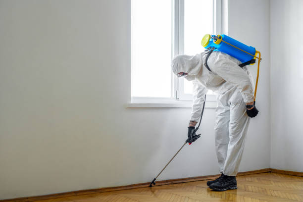 Professional Pest Control in Edgeworth, PA
