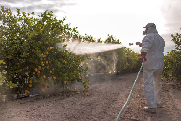 Best Pest Removal Services  in Edgeworth, PA