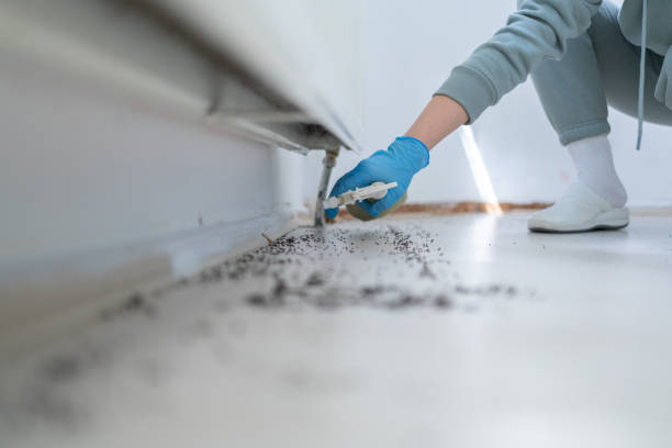 Trusted Edgeworth, PA Pest Control Experts